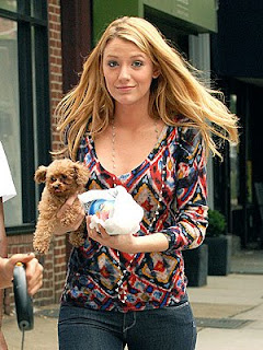 Blake Livelys  on What Would A Dog Do  What Does Gossip Girl Blake Lively And Cameron