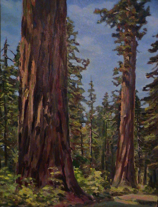 Redwoods