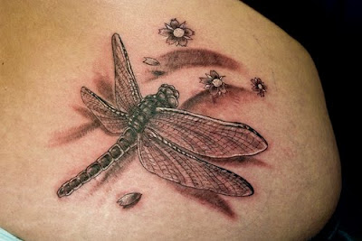 Pictures Of  Dragonfly Tattoo Art Designs