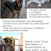 Para adotar um desses animais: 3523-2288