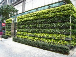 Green wall 2