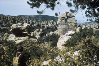 Chiricahua