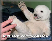 ICELAND VOTES OBAMA