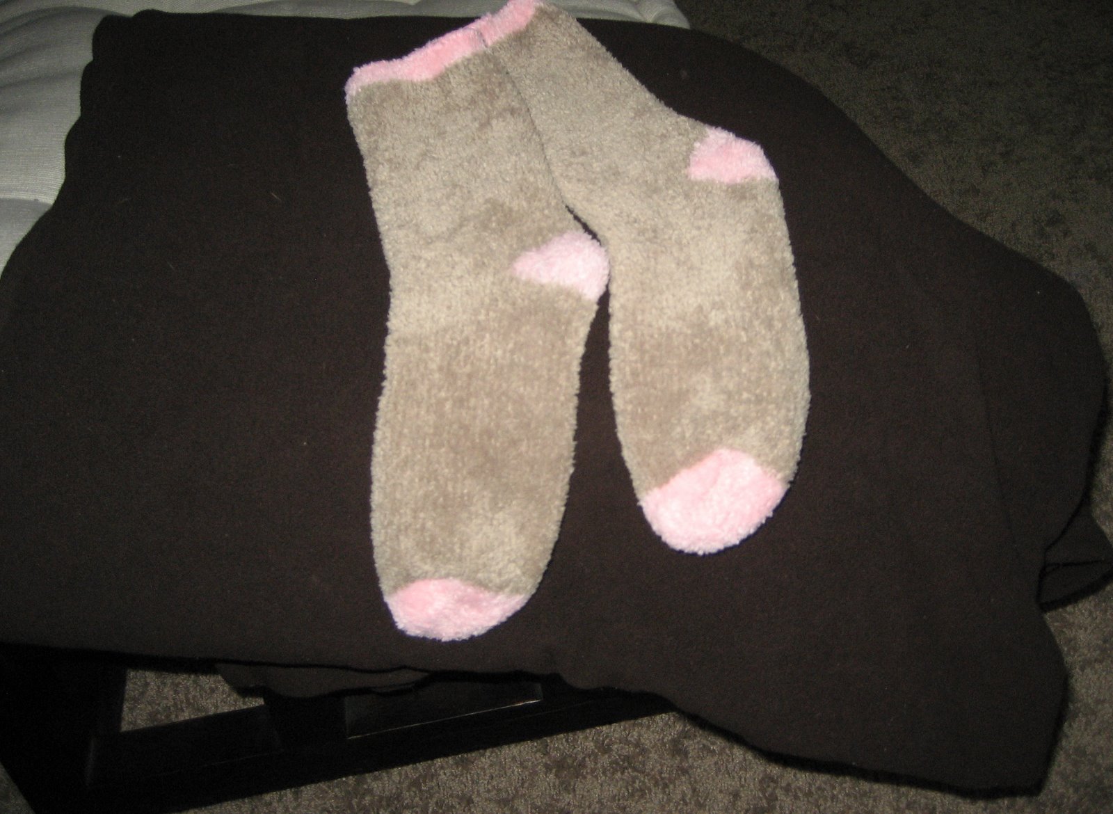 [Day15_Comfy.jpg]