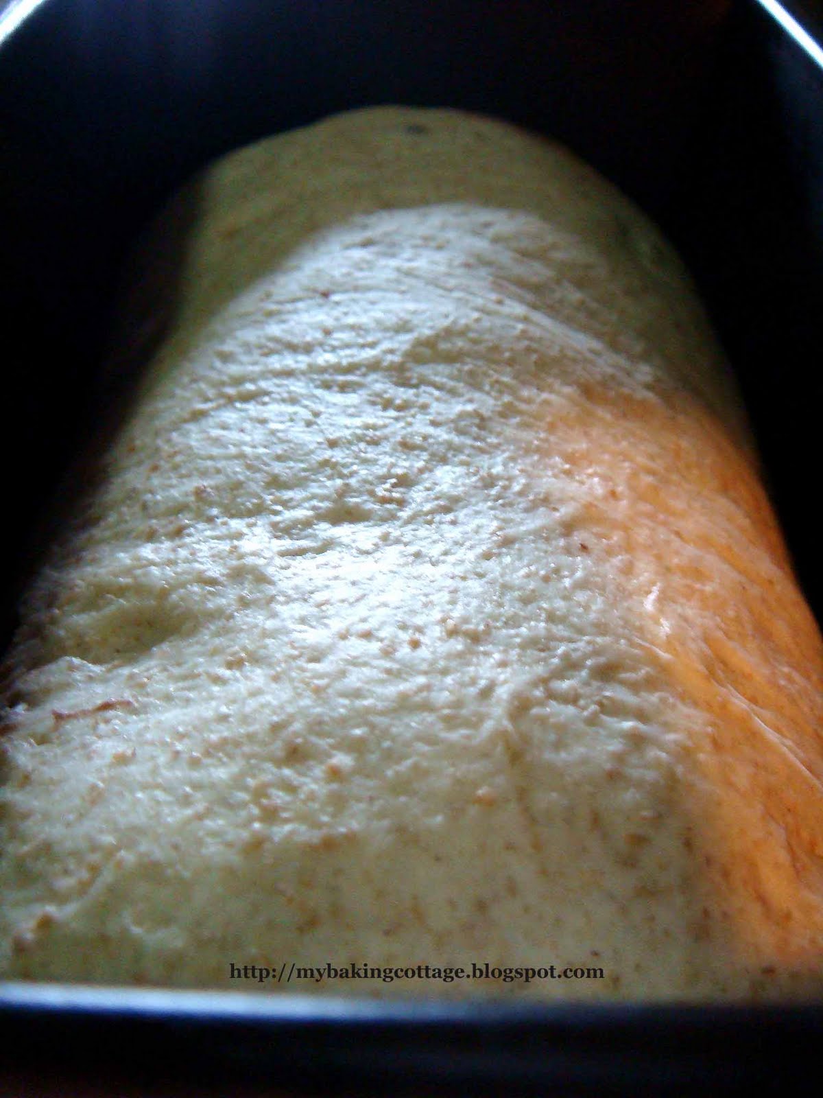 [rye+swirl+bread10.jpg]