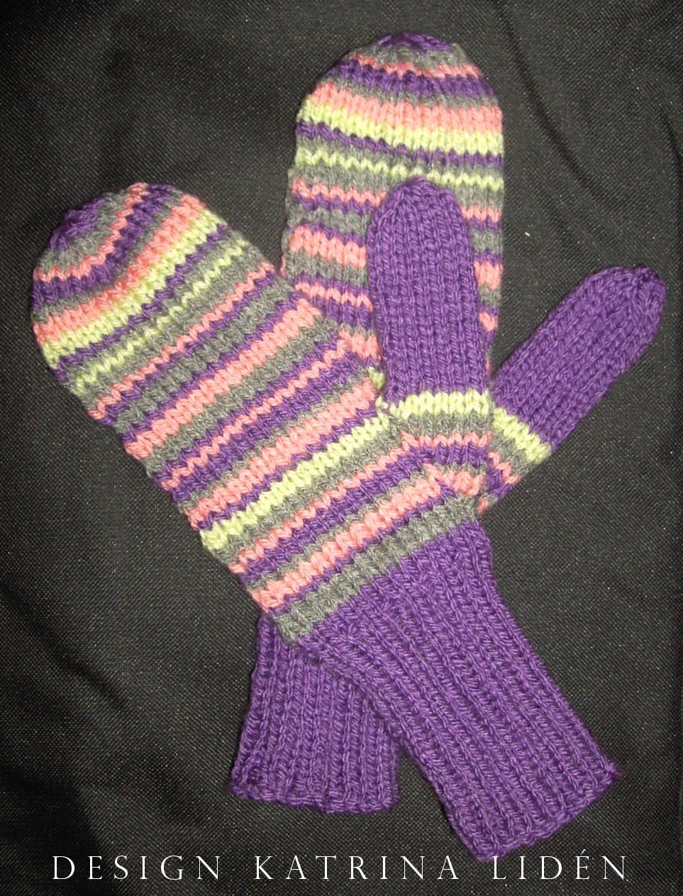 [vantar_randiga_carolina_2008.JPG]