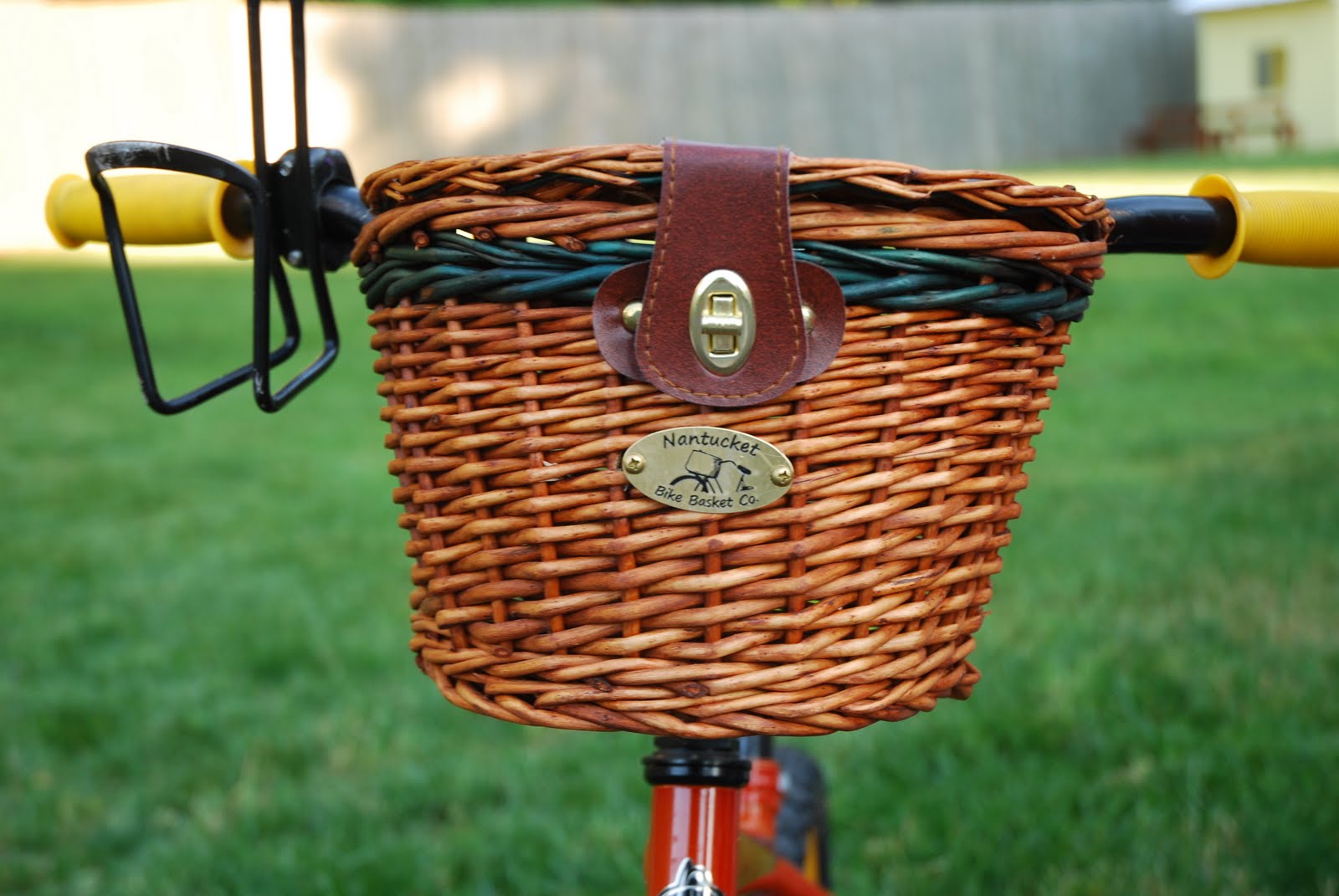 The Princess and The Frog Blog Bike Baskets