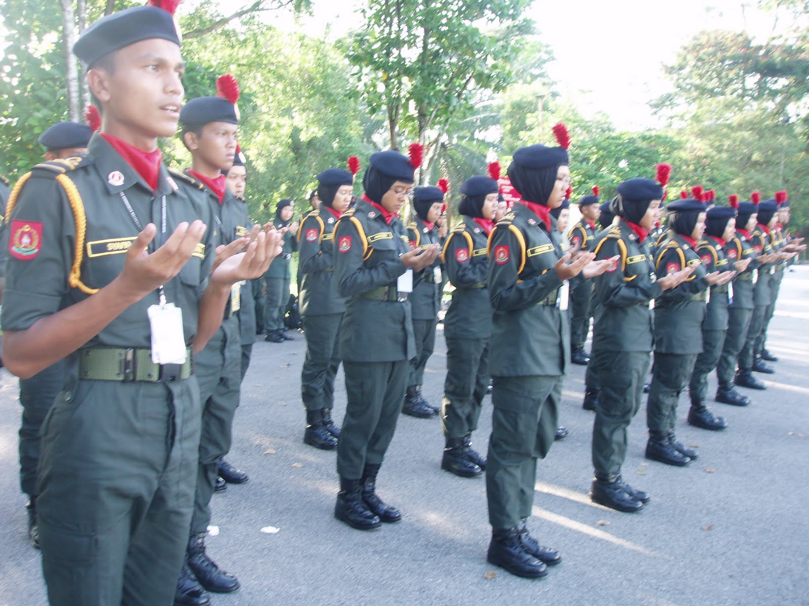 Kesatria Negara