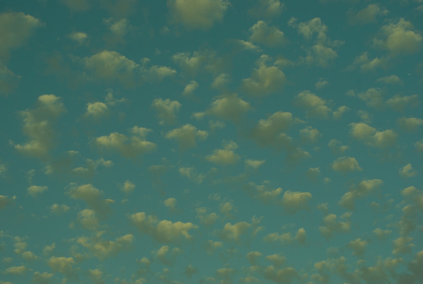 [DSC_0001.JPG]