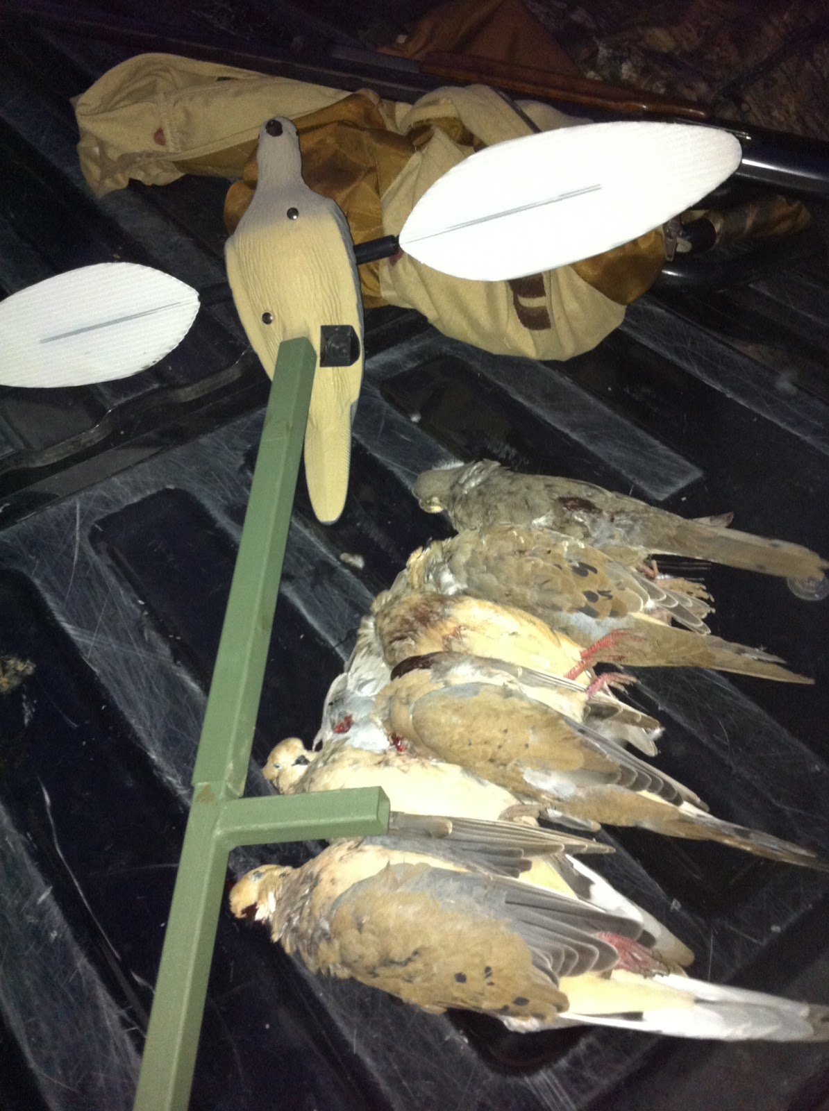 An Outdoor Adventure "My time in the Great Outdoors" Dove Decoys