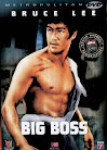 Sinopsis The Big Boss Tang Shan Da Xiong