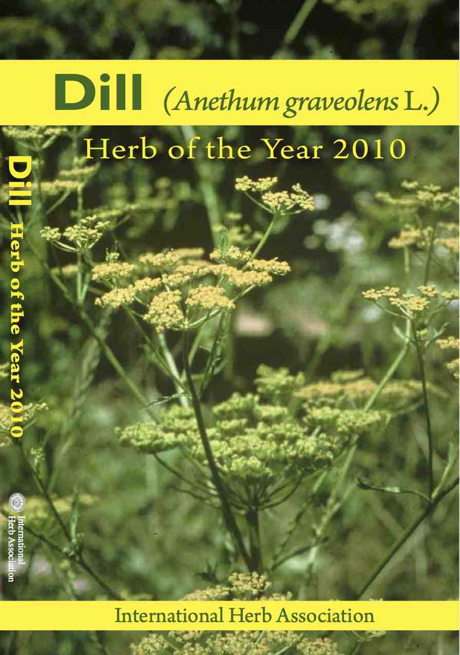 Collecting My Thoughts 06/01/2010 07/01/2010