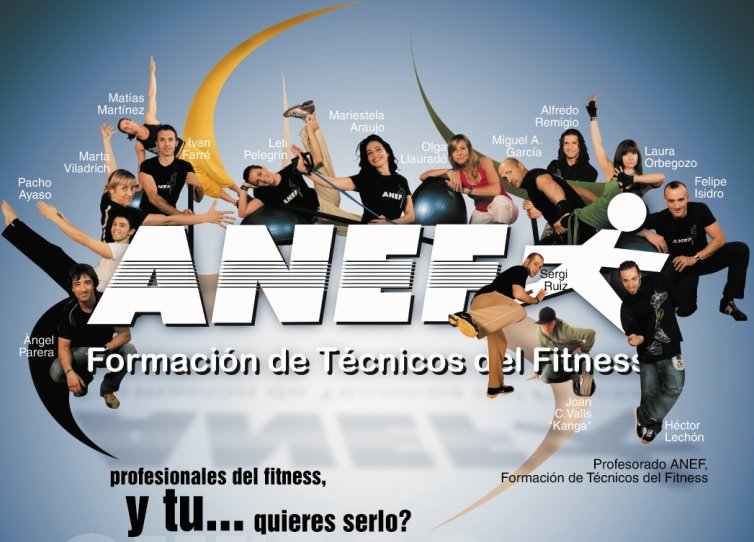 ANEF