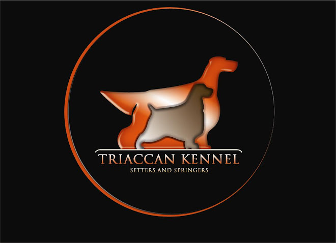 TRIACCAN KENNEL