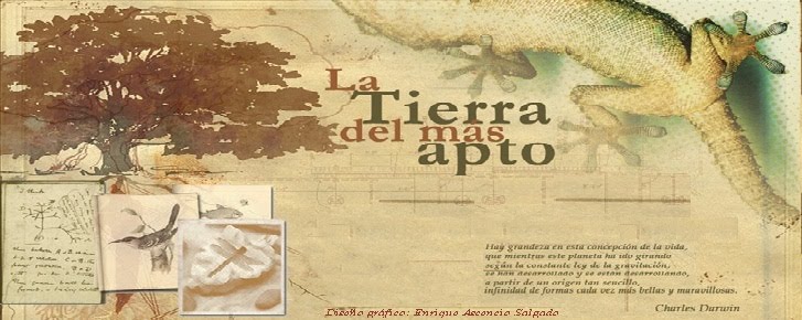Proyecto de RedEscolar :