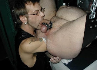 eros escort houston shemale deer gay picture