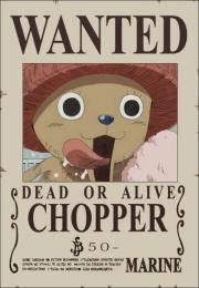 bounty chooper pirate one piece bounty chooper one piece