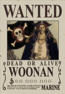 bounty woonan one piece bounty woonan one piece