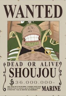 bounty shoujou one piece bounty shoujou one piece