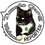 [tgh_reporter_bert.jpg]