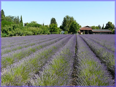 Azienda agricola biodinamica