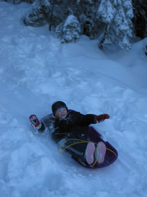 Dason loves sledding