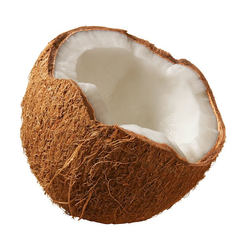 lil coconut
