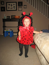 Our little bug...