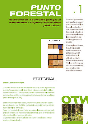 Punto Forestal - Boletín Informativo del Sector de la Madera de Galicia - nº 1 - Diciembre 2007 - by Juan Picos & Ana Orons - Fearmaga - Asociacion Galega Monte-Industria