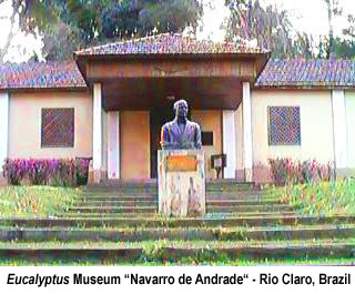 Museu do Eucalipto / Horto Florestal de Rio Claro / Floresta Estadual Navarro de Andrade / Eucalyptus Museum Navarro de Andrade / Rio Claro Forestry Station / Navarro de Andrade State Forest / Rio Claro / Sao Paulo / Brazil