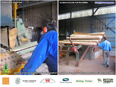 Galician Eucalyptus Globulus Sawn Timber Slabs and Planks / Tasmanian timber industry visits High Value Eucalyptus plantations, Eucalyptus sawmills and Mussel Acquaculture industrial Bateas in Galicia / Forestry Tasmania technical visit to Galicia / Forestry Tasmania, McKay Timber and Britton Timbers visit Galician HVS - Hijos de Vicente Suarez Eucalyptus globulus sawmill / Tabla y Tablon de Eucalipto de Galicia / Industria forestal de Tasmania visita plantaciones, aserraderos e industria acuicola del mejillon de batea de Galicia / Visita tecnica de Forestry Tasmania a Galicia / Industrilaes del aserrio de Australia McKay Timber y Britton Timbers visitan aserradero de eucalipto de HVS - Hijos de Vicente Suarez / GIT Forestry Consulting SL / Gustavo Iglesias Trabado, Roberto Carballeira Tenreiro and Javier Folgueira Lozano / GIT Forestry Consulting SL, Consultoría y Servicios de Ingeniería Agroforestal, Lugo, Galicia, España, Spain / Eucalyptologics, information resources on Eucalyptus cultivation around the world / Eucalyptologics, recursos de informacion sobre el cultivo del eucalipto en el mundo