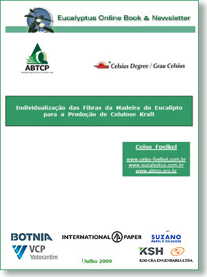 Individual Eucalyptus Fiber and Kraft Cellulosic Pulp Production / Eucalyptus Online Book, July 2009, by Celso Foelkel / Eucalyptus Wisdom from Brazil / La fibra individualizada de eucalipto y el proceso de producción de pulpa de celulosa Kraft / Libro Online Eucalipto, Julio 2009, por Celso Foelkel / Ecoeficacia, Ecoeficiencia, Produccion Mas Limpia / Sabiduría eucalíptica desde Brasil