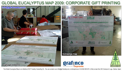 Global Eucalyptus Map 2009 / Eucalyptus cultivated forests worldwide map 2009 / Eucalyptus cultivation map 2009 / Eucalypt forests in the world / Mapa de plantaciones de eucalipto en el mundo 2009 / Mapa de cultivo de eucalipto en el mundo / Gustavo Iglesias Trabado, Roberto Carballeira Tenreiro & Javier Folgueira Lozano / GIT Forestry Consulting SL, Consultoría y Servicios de Ingeniería Agroforestal, Galicia, España, Spain / Eucalyptologics, information resources on Eucalyptus cultivation around the world / Eucalyptologics, recursos de informacion sobre el cultivo del eucalipto en el mundo