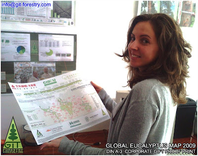 Global Eucalyptus Map 2009 / Eucalyptus cultivated forests worldwide map 2009 / Eucalyptus cultivation map 2009 / Eucalypt forests in the world / Mapa de plantaciones de eucalipto en el mundo 2009 / Mapa de cultivo de eucalipto en el mundo / Gustavo Iglesias Trabado, Roberto Carballeira Tenreiro & Javier Folgueira Lozano / GIT Forestry Consulting SL, Consultoría y Servicios de Ingeniería Agroforestal, Galicia, España, Spain / Eucalyptologics, information resources on Eucalyptus cultivation around the world / Eucalyptologics, recursos de informacion sobre el cultivo del eucalipto en el mundo