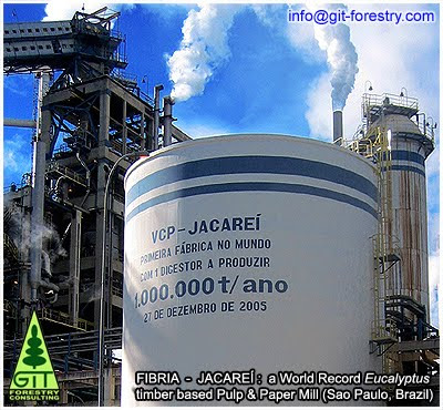 World Record Eucalyptus woodchip digester at FIBRIA Jacarei Pulp and Paper Mill, Sao Paulo, Brazil / Digestor de astillas de eucalipto en la fabrica de celulosa y papel de FIBRIA en Jacarei, San Pablo, Brasil / Gustavo Iglesias Trabado, Roberto Carballeira Tenreiro and Javier Folgueira Lozano / GIT Forestry Consulting SL, Consultoría y Servicios de Ingeniería Agroforestal, Lugo, Galicia, España, Spain / Eucalyptologics, information resources on Eucalyptus cultivation around the world / Eucalyptologics, recursos de informacion sobre el cultivo del eucalipto en el mundo