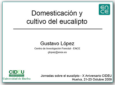 Eucalyptus genetic improvement in Spain, domestication and cultivation, by Gustavo Lopez / Mejora genetica de eucalipto en España, domesticacion y cultivo, por Gustavo Lopez / Gustavo Iglesias Trabado, Roberto Carballeira Tenreiro and Javier Folgueira Lozano / GIT Forestry Consulting SL, Consultoría y Servicios de Ingeniería Agroforestal, Lugo, Galicia, España, Spain / Eucalyptologics, information resources on Eucalyptus cultivation around the world / Eucalyptologics, recursos de informacion sobre el cultivo del eucalipto en el mundo