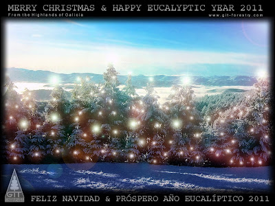 Eucalyptus nitens: eucaliptos tolerantes al frio en las Highlands de Galicia, Reserva Natural de la Sierra de Ancares / Cold hardy Eucalyptus nitens in the Snow of the Highlands of Galicia, Ancares Range Nature Reserve, Spain / Merry Christmas and Happy New Eucalyptic Year 2011 / Feliz Navidad y Prospero Año Eucalíptico 2011 / Gustavo Iglesias Trabado, Roberto Carballeira Tenreiro and Javier Folgueira Lozano / GIT Forestry Consulting SL, Consultoría y Servicios de Ingeniería Agroforestal, Lugo, Galicia, España, Spain / Eucalyptologics, Information Resources on Eucalyptus Cultivation Worldwide / Recursos de Informacion sobre el Cultivo del Eucalipto en el Mundo