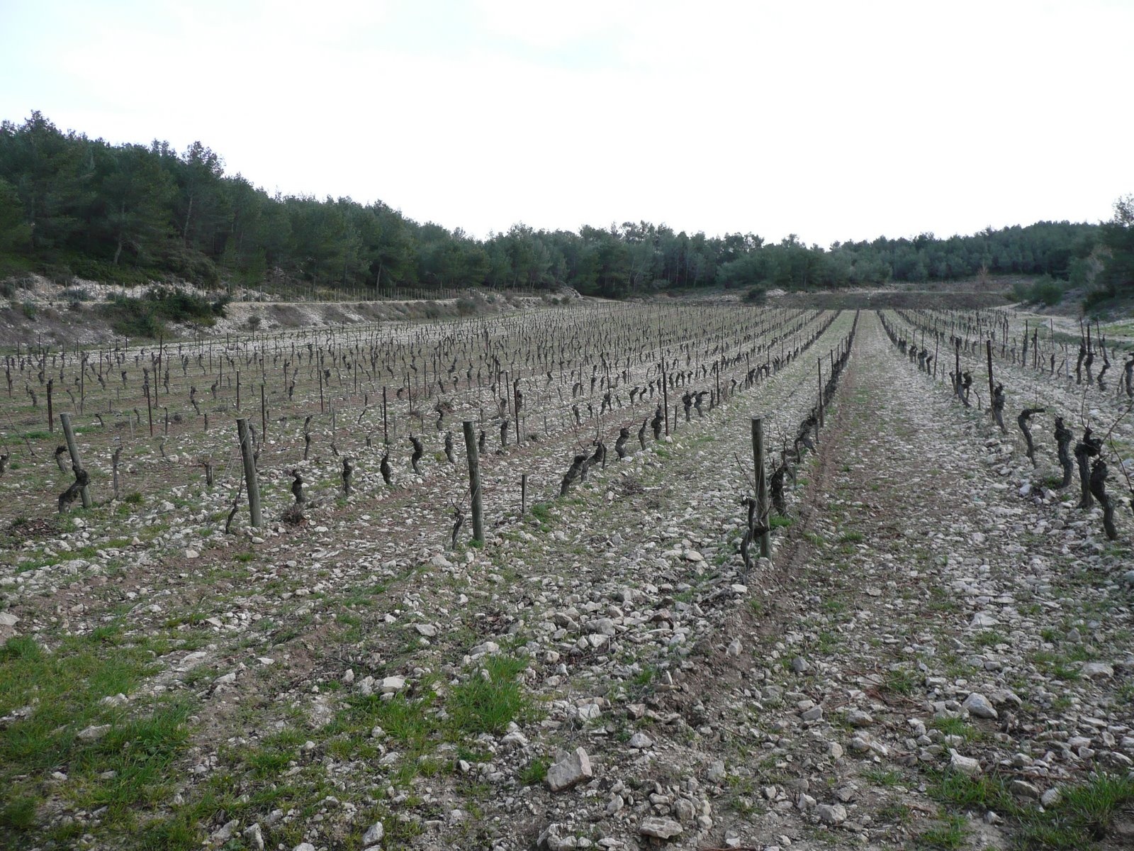[Rhone+March+2008+Day+3+017.jpg]