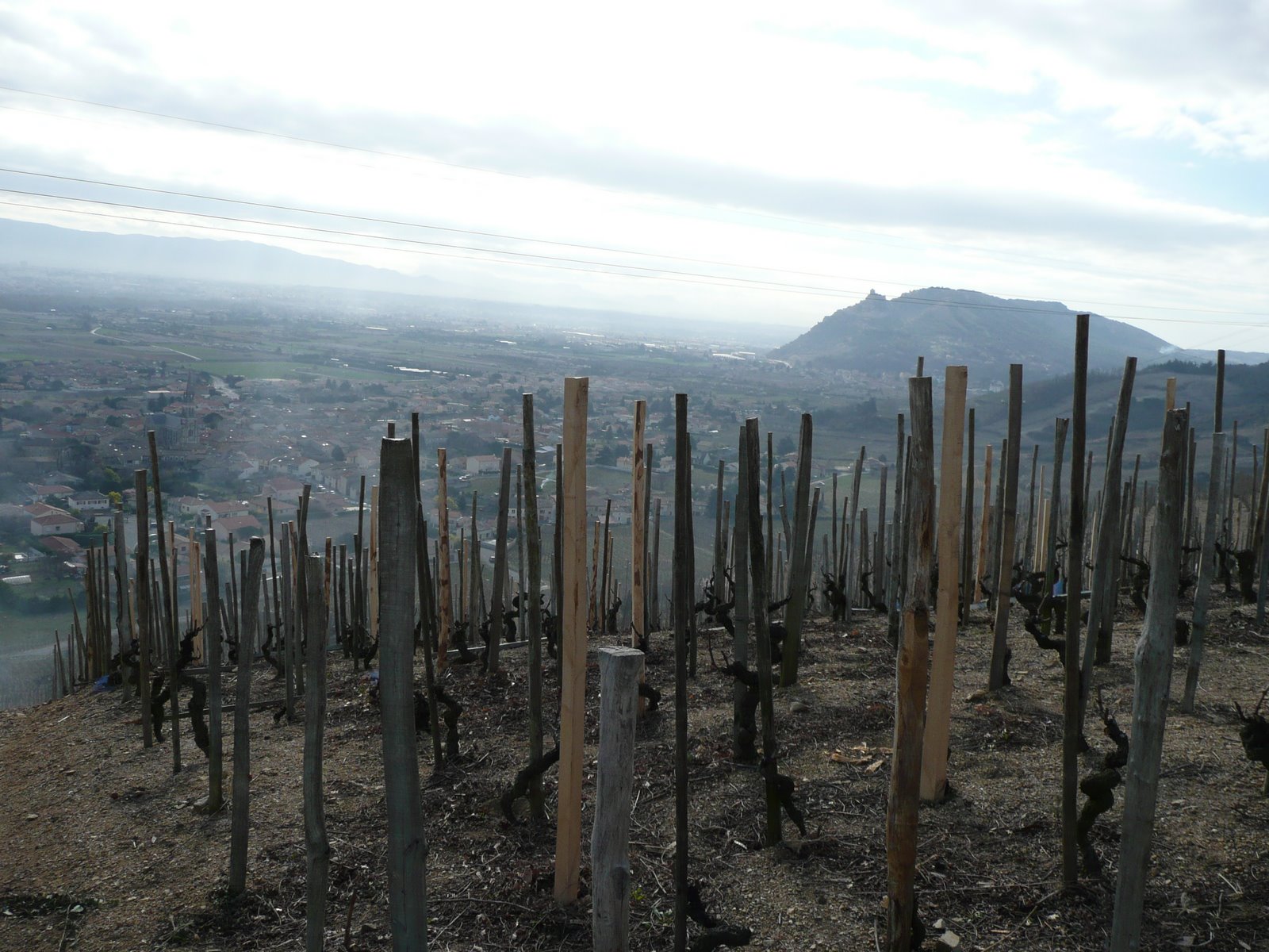 [Rhone+March+2008+Day+2+020.jpg]