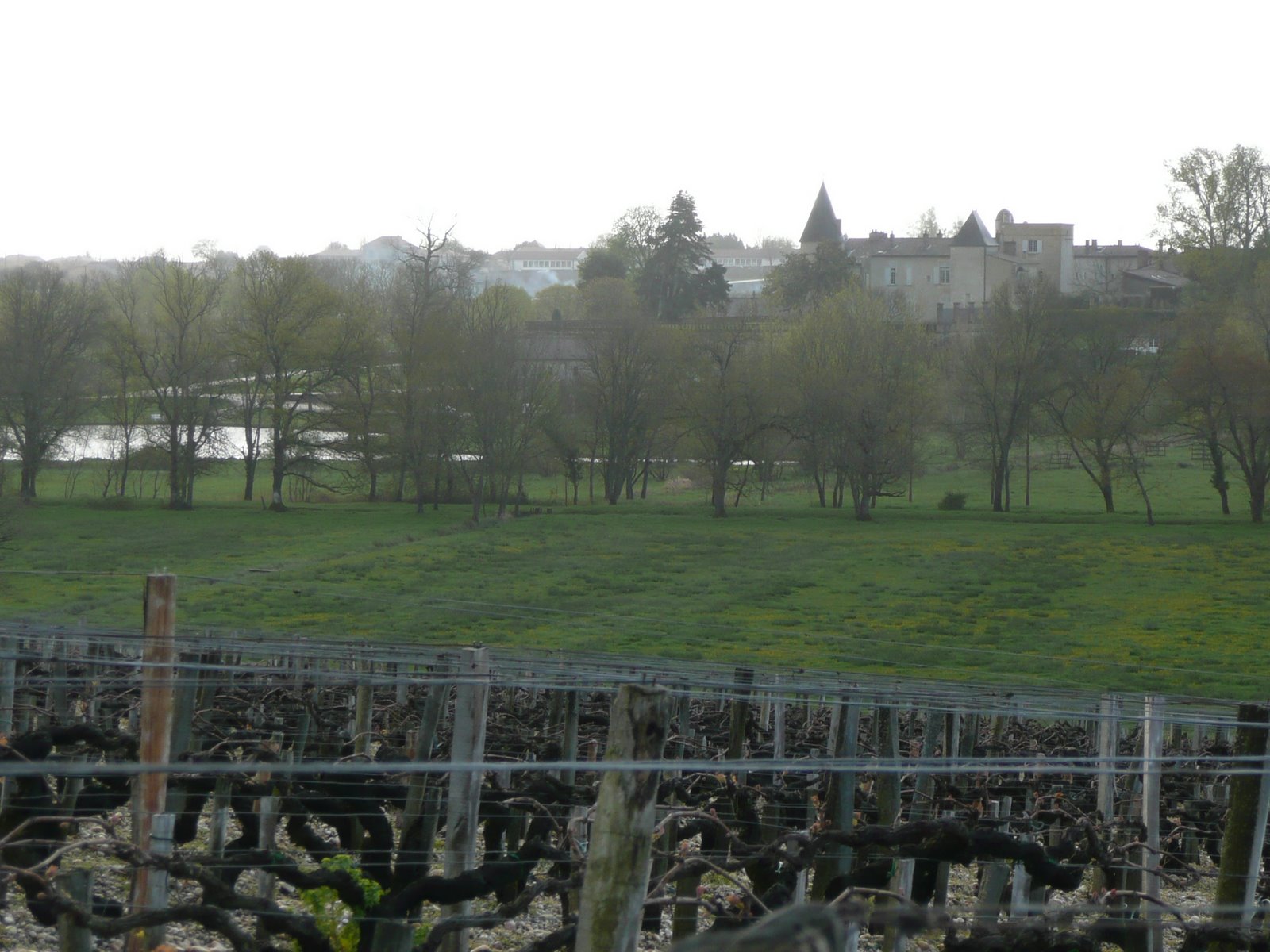 [Bordeaux+March+2008+012.jpg]