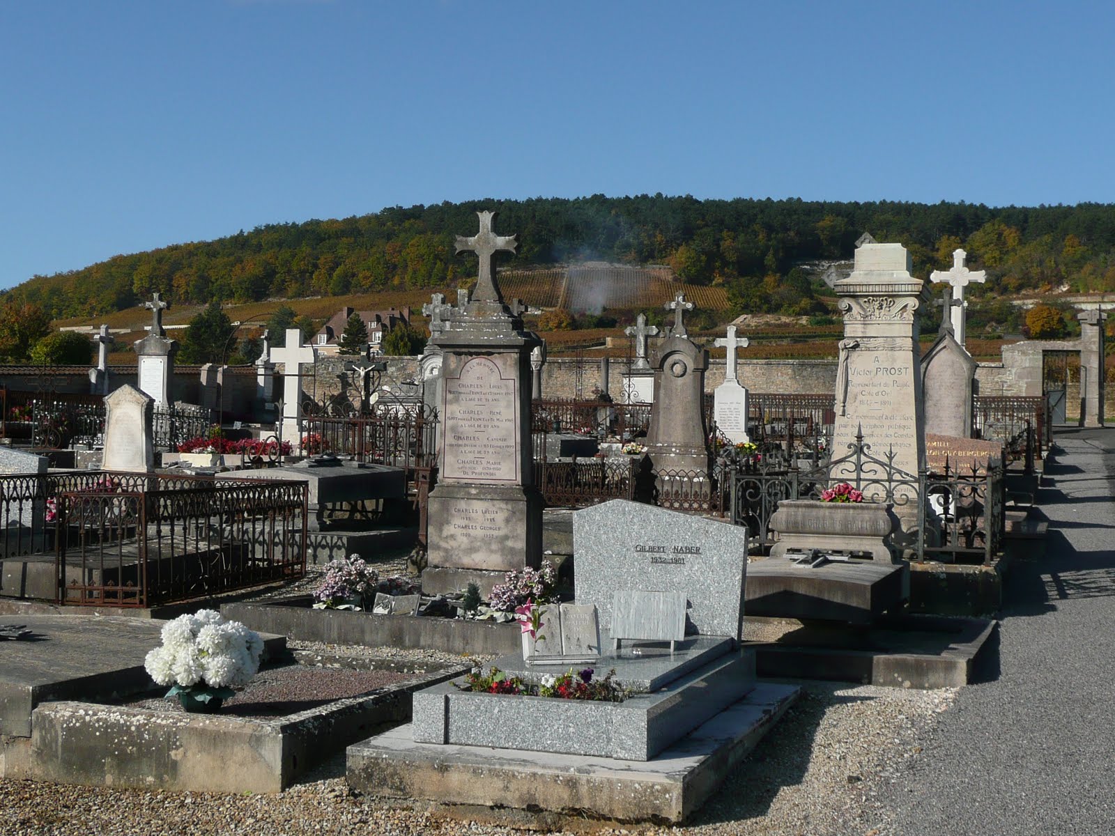 [Burgundy+26th+Oct+2009+morning+017.jpg]