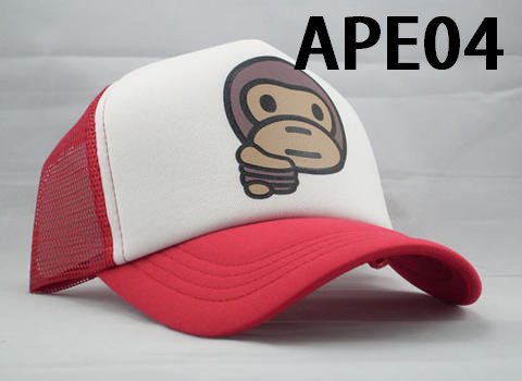 [APE-04.bmp]