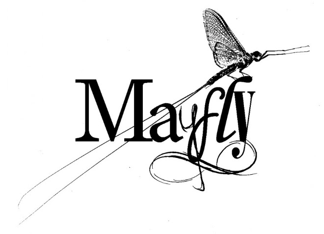 Mayfly