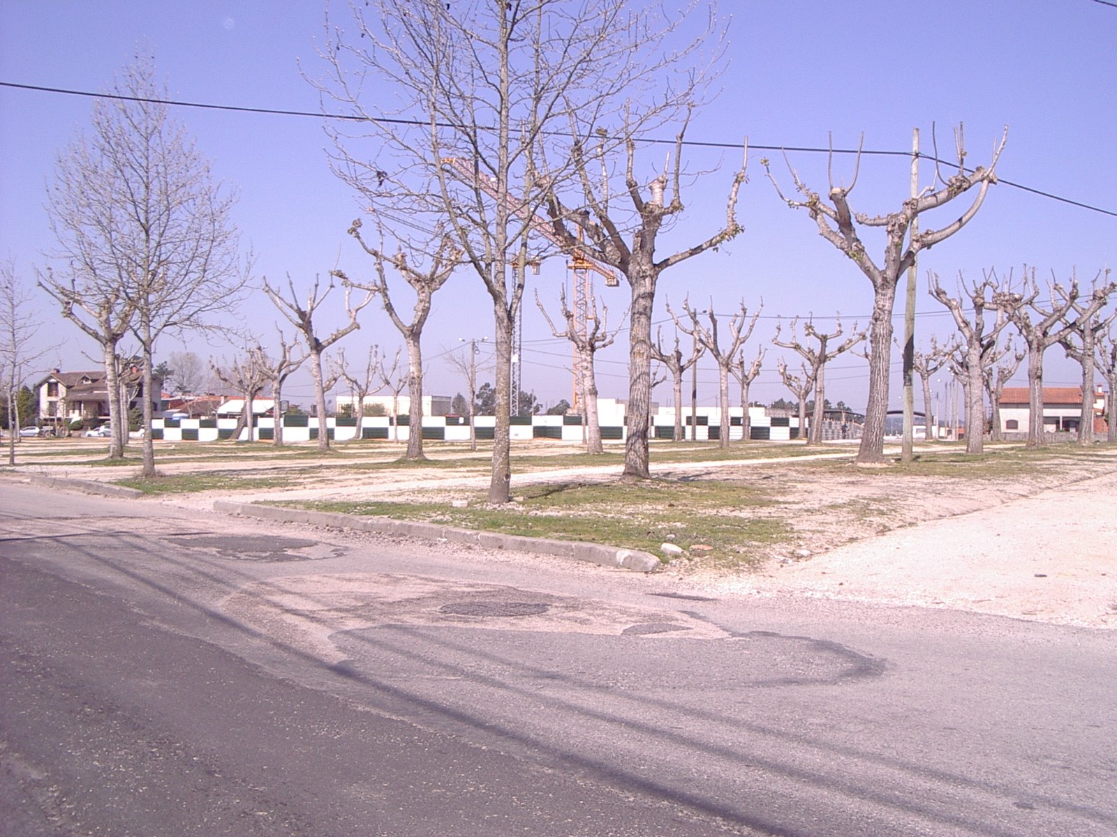 [IMGP3424.JPG]