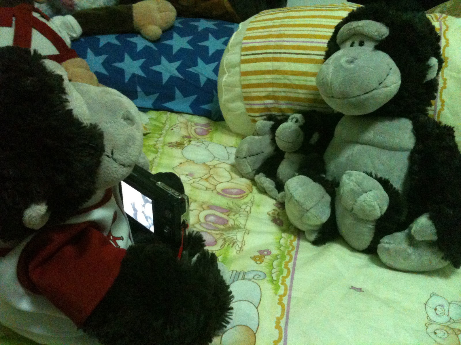 Nici Gorilla