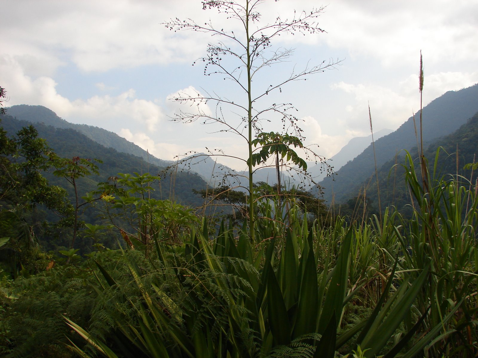 [DSC04446.JPG]