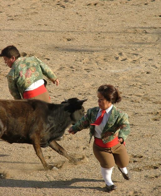 [El+Chino+Torero+-+Arronches+2009+(3).JPG]