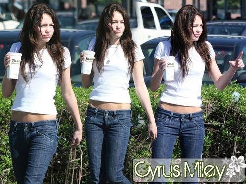 MILEY 100PRE COOL