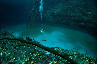 Sungai Di Dalam Laut
