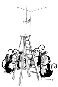 El Paradigma De Los 5 Monos